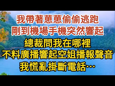 《BB被搶後》第09集：我帶著葸葸偷偷逃跑，剛到機場手機突然響起，總裁問我在哪裡，不料廣播響起空姐播報聲音，我慌亂掛斷電話……#婚姻#情感故事#甜寵#故事#小說#霸總