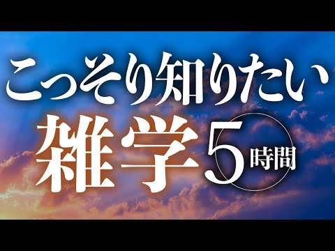 【睡眠導入】こっそり知りたい雑学5時間【合成音声】