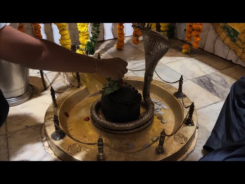 Kedarewar mahadev temple | Mahadev pura | Mahadev  #viralvideo #trending