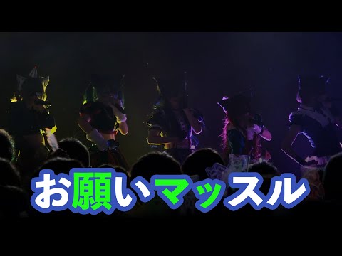 【VALIS】「お願いマッスル」#無限ミーティング2 ライブver.【アニソンカバー】