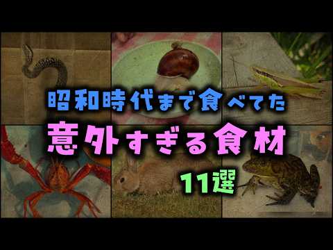 【ゆっくり解説】昭和時代まで食べてた「意外すぎる食材」11選