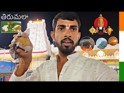 DAY 10 Tirumala Darshanam ✨🙏🏼| ALL INDIA TRAVELLING 🇮🇳