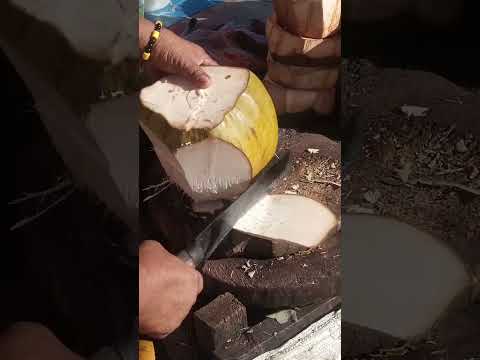 satisfying video / coconut cutting skills Asmr #cuttingskils #streetfood #youtubeshorts #Gatchie Jr