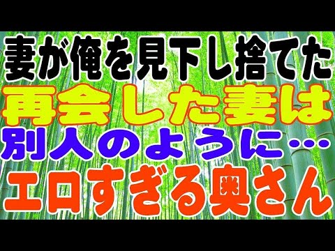 【スカッとする話】妻が俺を見下し捨てた、再会した妻は別人のように…