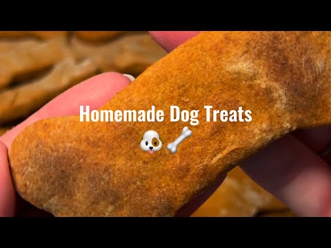 Homemade Dog Treats! 🐶