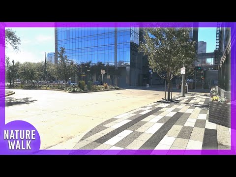 Sunny stroll through the heart of Downtown Houston (City Walk Visualizer)