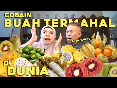 COBAIN BUAH TERMAHAL DI DUNIA..