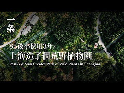 【EngSub】Post-85s Man Spends 3 Years Creating a Park of Wild Plants in Shanghai 85後小伙用3年，在上海造了個荒野植物園