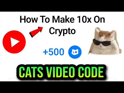 How To Make 10x On Crypto Cats Video Code Today | Cats Youtube Video Code | Cats Video Code Today