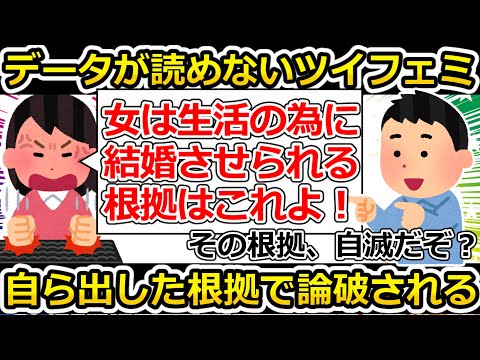 【ゆっくり解説】ツイフェミさん、自身の主張を通すため根拠のグラフを出すも、そのグラフで自身の主張を論破してしまってる模様