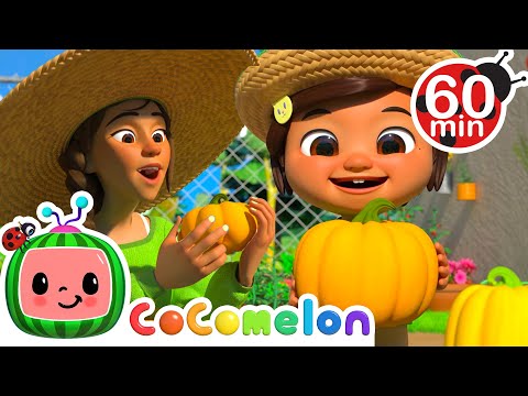 Pumpkin Patch Playtime with Nina and JJ | Cocomelon Nursery Rhymes for Kids