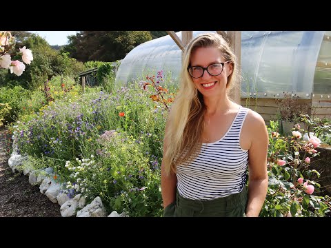 The Garden in August // Harvesting, Seasonal Tips, and Full Garden Tour