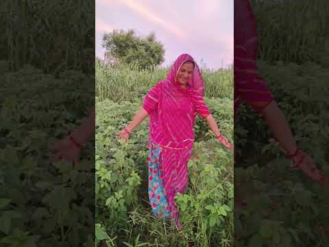 Village life || Nomadic Indian Family #shorts #ytshorts #villagelife