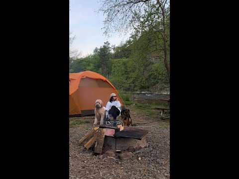 Camping ASMR🏕️