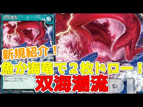 【ラッシュデュエル】新規紹介！双海潮流！魚族か海竜族で使える２枚ドロー！！！【遊戯王】