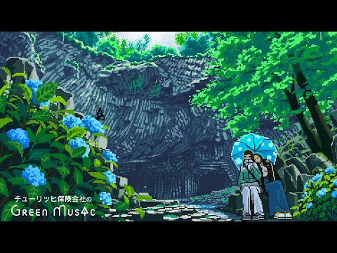 Chill Music with Hydrangea - Hydrangeas Sheltering from Rain - tommgn