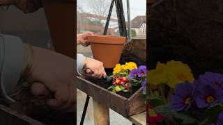 Spring Gardening / April Gardening #howtogarden