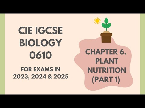 6. Plant Nutrition (Part 1) (Cambridge IGCSE Biology 0610 for exams in 2023, 2024 and 2025)