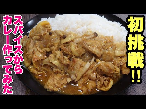 【初挑戦】6種のスパイスを使って１からカレー作ってみた結果⋯。【飯テロ】