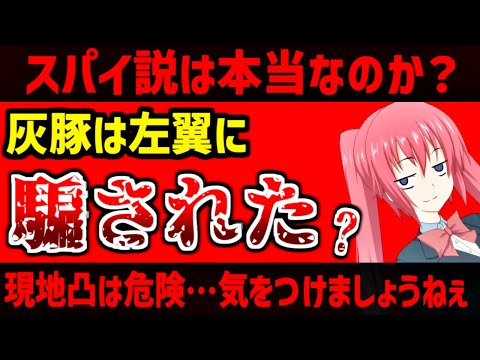 灰豚スパイ説は本当なのか？情報を整理します【赤坂物語 #2】