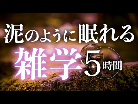 【睡眠導入】泥のように眠れる雑学5時間【合成音声】