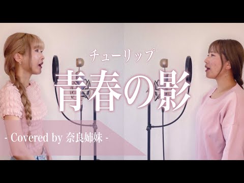 【女性がハモって歌う】青春の影 / チューリップ Covered by 奈良姉妹