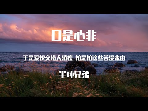 半吨兄弟 - 口是心非（原唱：张雨生）【動態歌詞】「于是爱恨交错人消瘦 怕是怕这些苦没来由」♪Lyrics Video♪