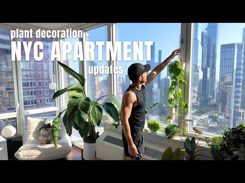 NYC Apartment Updates: Adding plant decor, rearranging the living room, and organizing the kitchen