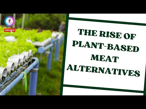 The Rise of Plant Based Meat Alternatives