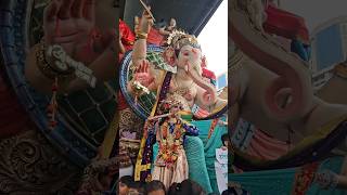 Aambawadi Cha Raja 55aagman sohala 2024 #bappaaagman  #bappa  #shorts #viralreels  #viralshorts