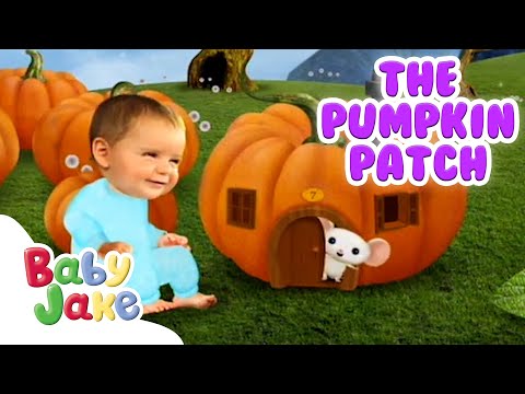 @BabyJakeofficial - Exploring the Pumpkin Patch | Halloween Special | 30+ Mins | Yacki Yacki Yoggi