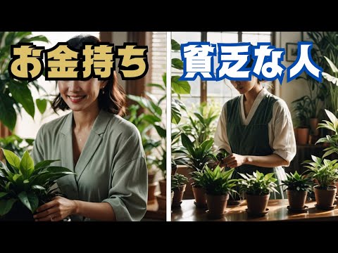 【風水】 観葉植物の使い方がこんなに違う！お金持ちと貧乏な人の違い 5選