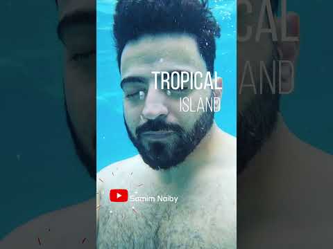 "Splashes of Fun: A Day at the Tropical Island!" https://youtu.be/92AqAQUZblk #shortsvideo  #short