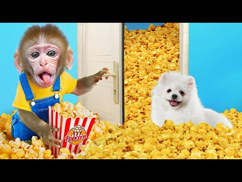 KiKi Monkey challenge shopping to make full of Popcorn house with Puppy | KUDO ANIMAL KIKI