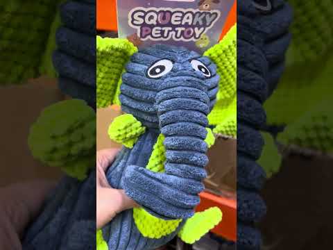 squeaky pet toy #squeakytoy #asmr #toy#shorts #short