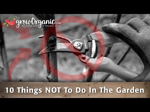 10 Things NOT To Do In The Garden