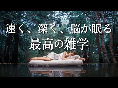 最高の雑学で質の高い睡眠体験を！