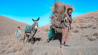 People of the Village: Life in the Mountains of Afghanistan