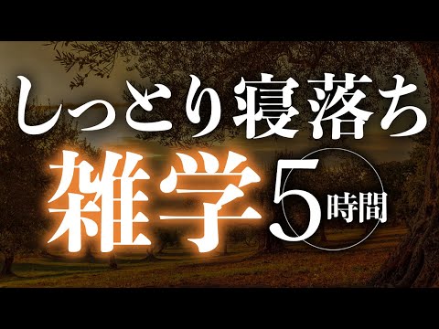 【睡眠導入】しっとり寝落ち雑学5時間【合成音声】