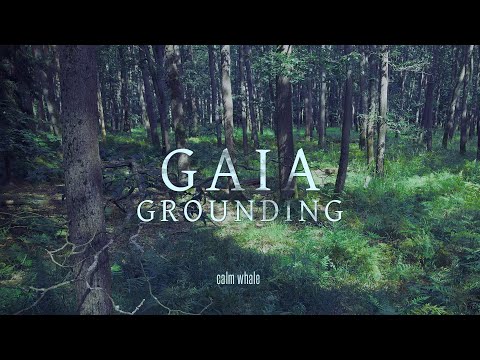 Grounding to Mother Gaia 🌍 Shaman Drum Journey, Gong & Nature ROOT Chakra Meditation Music