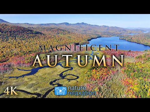 Magnificent Autumn - 2HR 4K Drone Film from America's NE + Piano Music