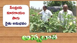 Organic Vegetable Production | by Keesara Farmer || ETV Annadata