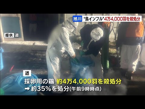 "高病原性鳥インフル"確認の北海道旭川市の養鶏場　約４万4000羽の殺処分進む　今シーズン北海道内の養鶏場での発生は２例目