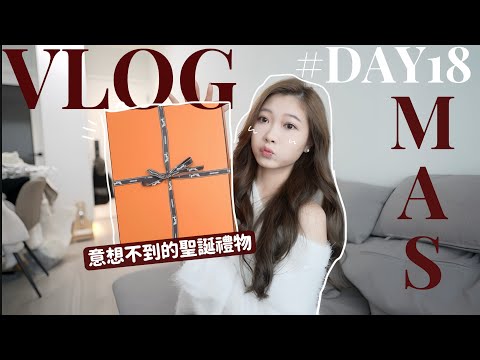 🎅🏻VLOGMAS#18🎄欸⁉️意外來到的Hermes橙色盒子開箱🎅🏻🐴整理家居日🖤🧸Heyman Lam🧸