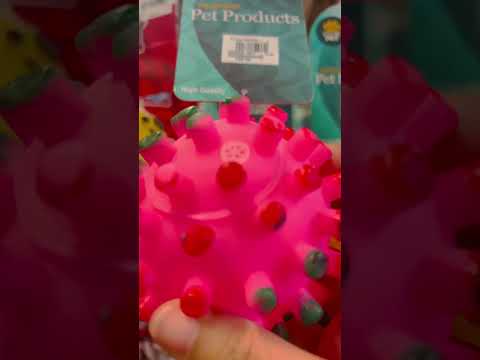 ball with spikes pet toy #toy #squeakytoy #asmr #ytshorts #shorts