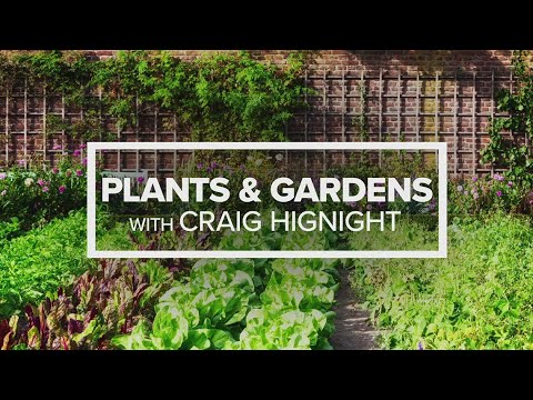 Plants & Gardens with Craig Hignight - Nov. 13, 2024