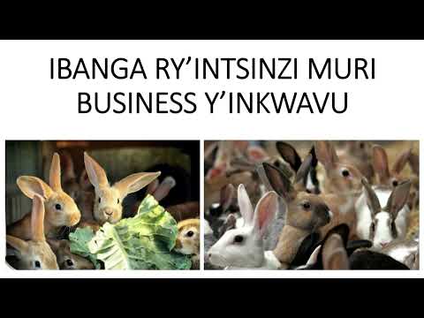 UBWOROZI BW'INKWAVU: IRI BANGA UTAZI NIRYO RITUMA UPFISHA INKWAVU, IGIHOMBO, UTAGERA KUNZOZI ZAWE