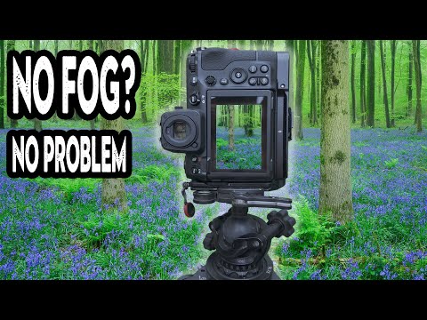 Do WOODLAND PHOTOS really need fog?