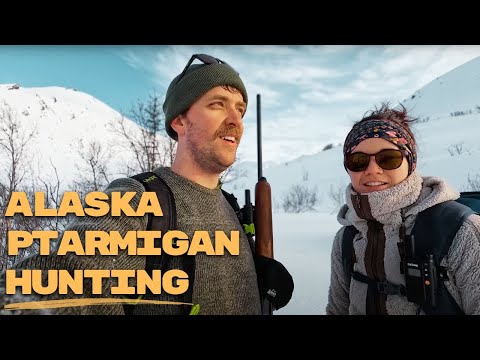 Hunting Ptarmigan on Snowshoes in the Mountains of Alaska