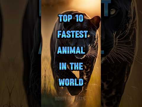 Top 10 FASTEST Animal in The World!